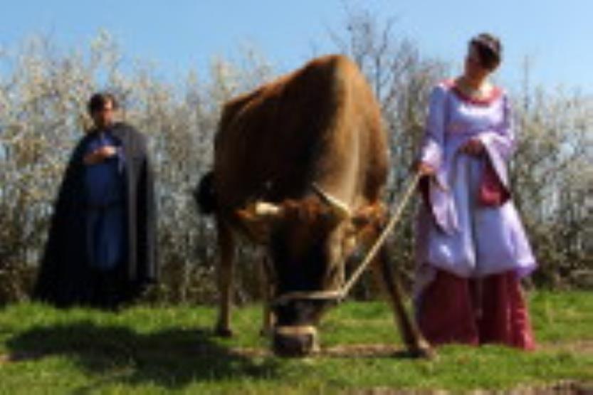 Gemma Shelton, Adam Elms and Ted the Ox on the set of Tales of Bacon (Photo courtesy Natalie Roe)